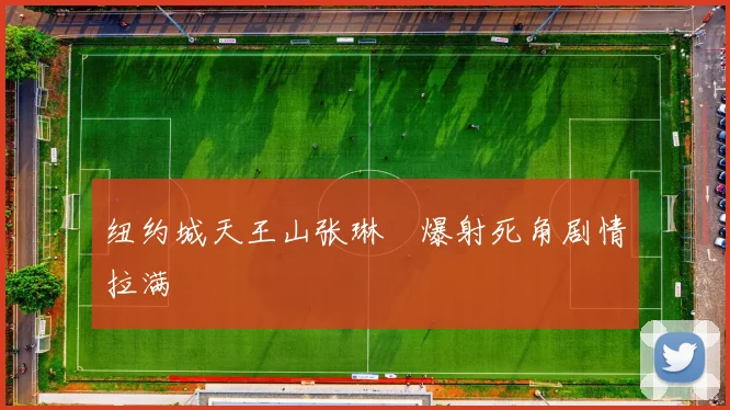 纽约城天王山张琳芃爆射死角剧情拉满
