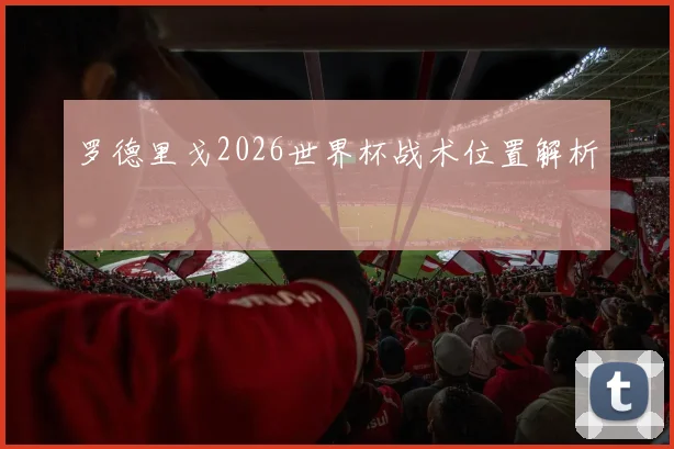 罗德里戈2026世界杯战术位置解析