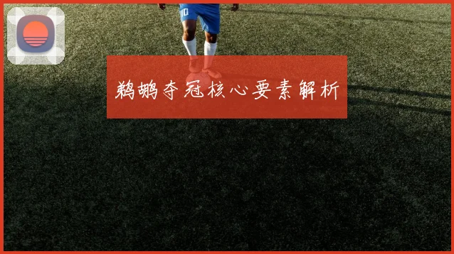鹈鹕夺冠核心要素解析