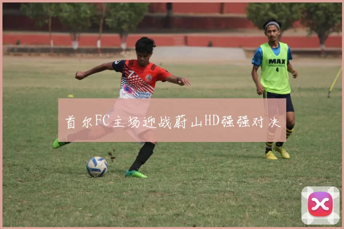 首尔FC主场迎战蔚山HD强强对决