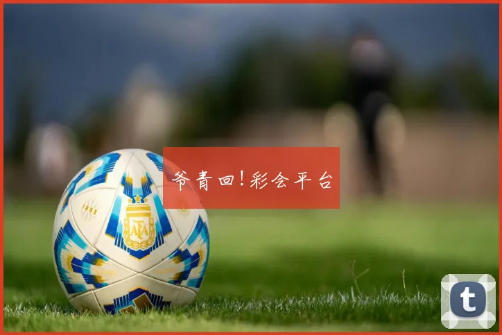 爷青回!彩会平台