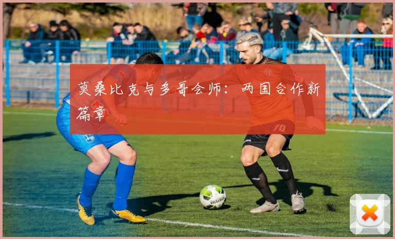 莫桑比克与多哥会师:两国合作新篇章
