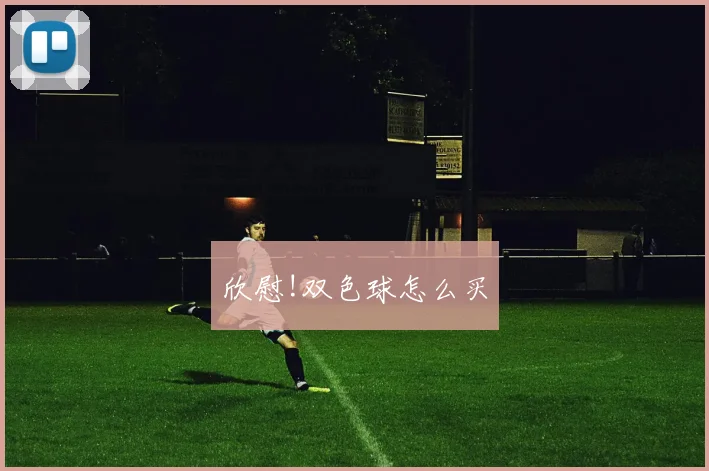 欣慰!双色球怎么买