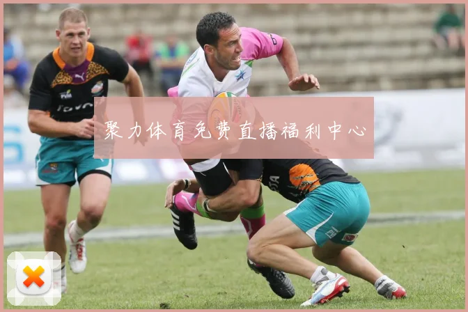 聚力体育免费直播福利中心