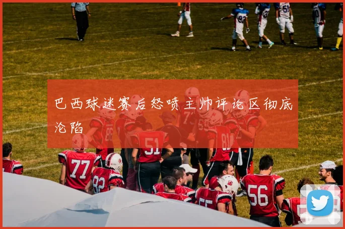 巴西球迷赛后怒喷主帅评论区彻底沦陷