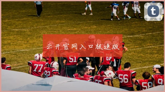 云开官网入口极速版