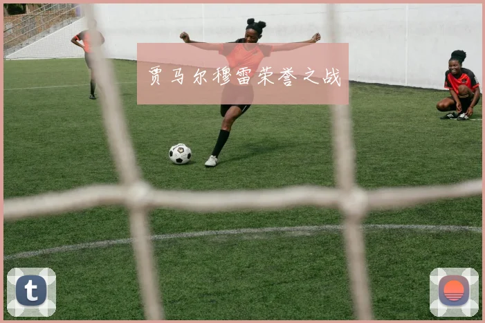 贾马尔穆雷荣誉之战