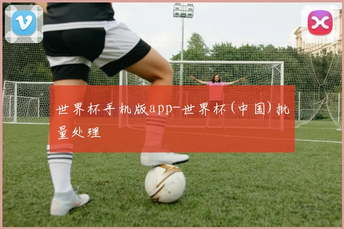 世界杯手机版app-世界杯(中国)批量处理