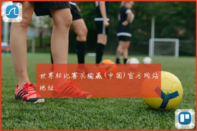 世界杯比赛买输赢(中国)官方网站地址