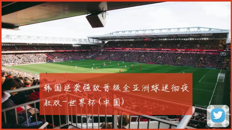 韩国逆袭强敌晋级全亚洲球迷彻夜狂欢-世界杯(中国)