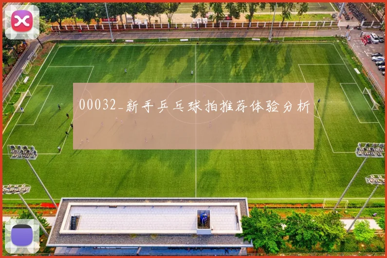 00032_新手乒乓球拍推荐体验分析