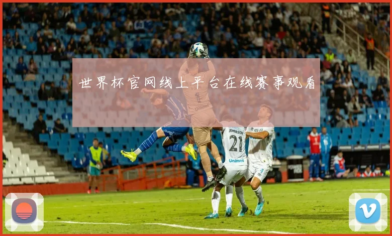 世界杯官网线上平台在线赛事观看