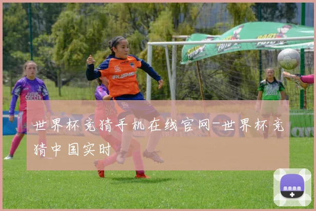 世界杯竞猜手机在线官网-世界杯竞猜中国实时