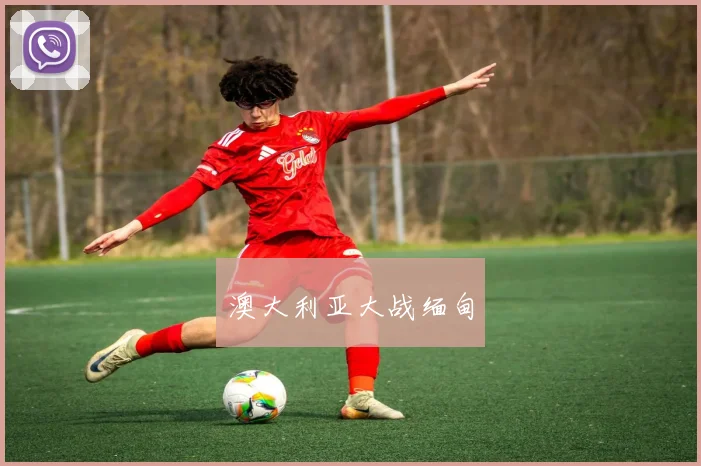 澳大利亚大战缅甸