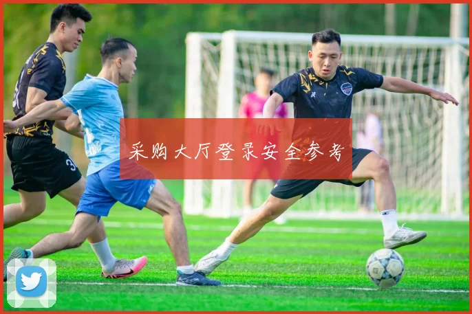 采购大厅登录安全参考