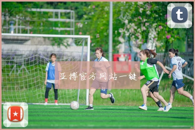 亚搏官方网站一键