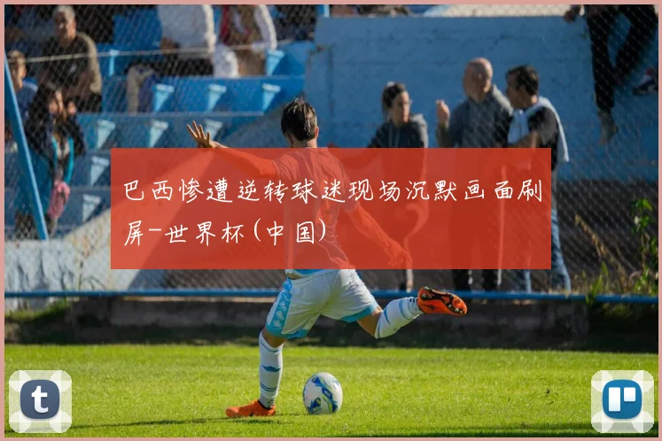 巴西惨遭逆转球迷现场沉默画面刷屏-世界杯(中国)