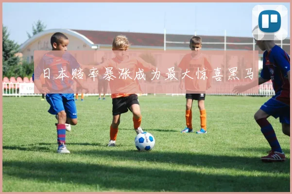 日本赔率暴涨成为最大惊喜黑马