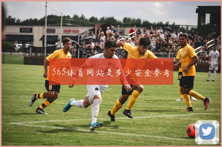 565体育网站是多少安全参考
