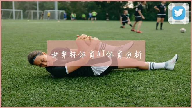 世界杯体育AI体育分析