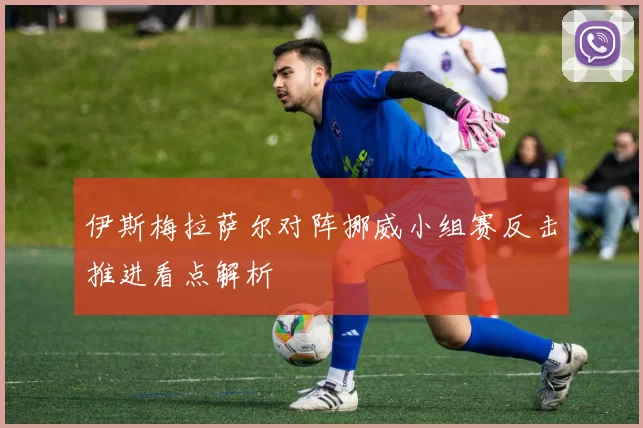 伊斯梅拉萨尔对阵挪威小组赛反击推进看点解析
