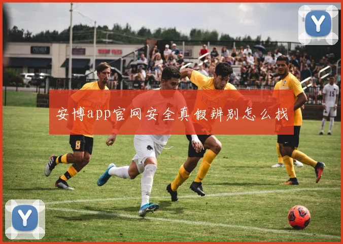 安博app官网安全真假辨别怎么找