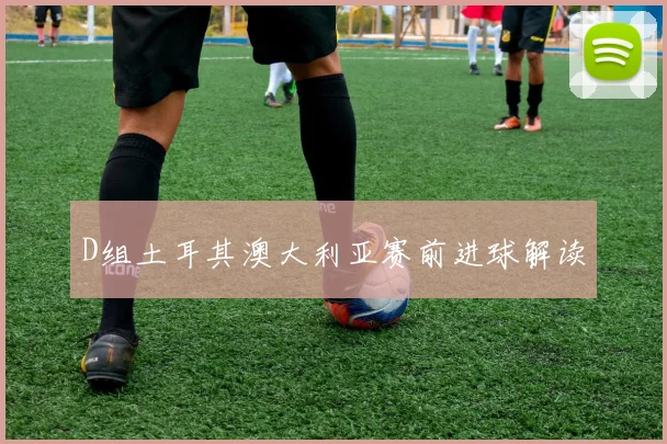 D组土耳其澳大利亚赛前进球解读